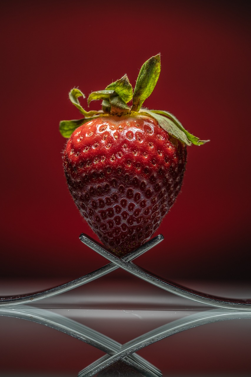 Akıllı Robot Süpürge